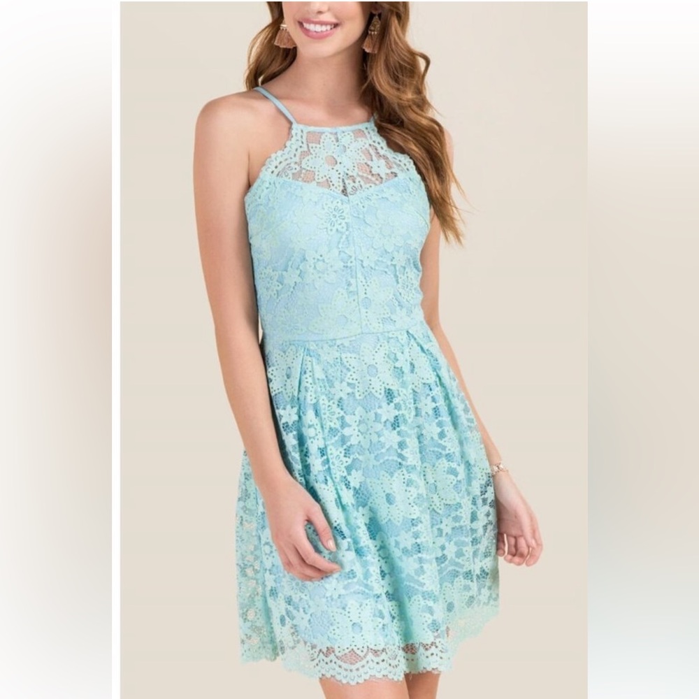 NWT Francesca's Collection Floral Lace Mini Dress